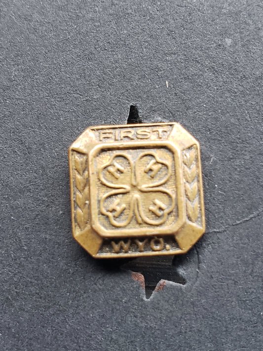 Wyoming 4 H Pin